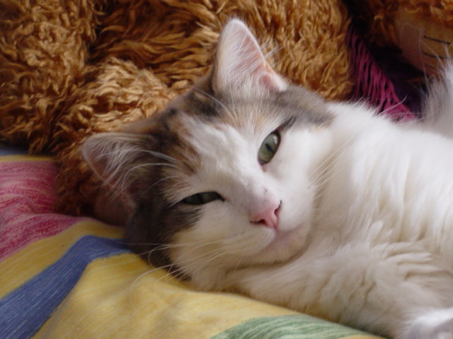 dsc00164.jpg